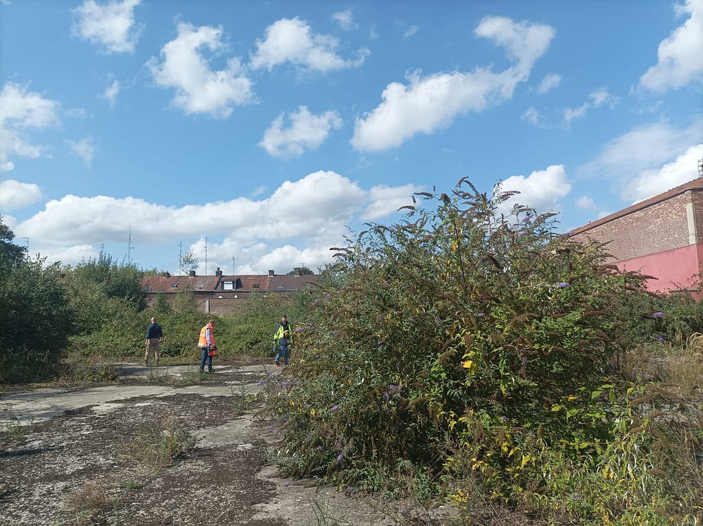 L'image montre une friche, à l'arrière d'un bâtiment en brique de couleur rouge : une grande dalle de béton, avec des plantes importantes qui ont poussé