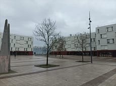 L'image montre la place du damier, très minéralisée avec un arbre au milieu et des commerces en rez de chaussee